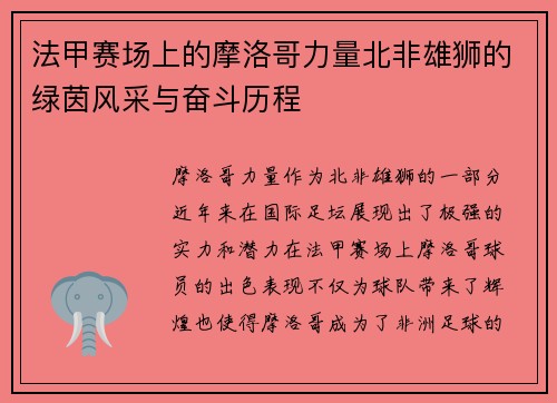 法甲赛场上的摩洛哥力量北非雄狮的绿茵风采与奋斗历程