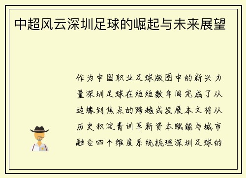 中超风云深圳足球的崛起与未来展望